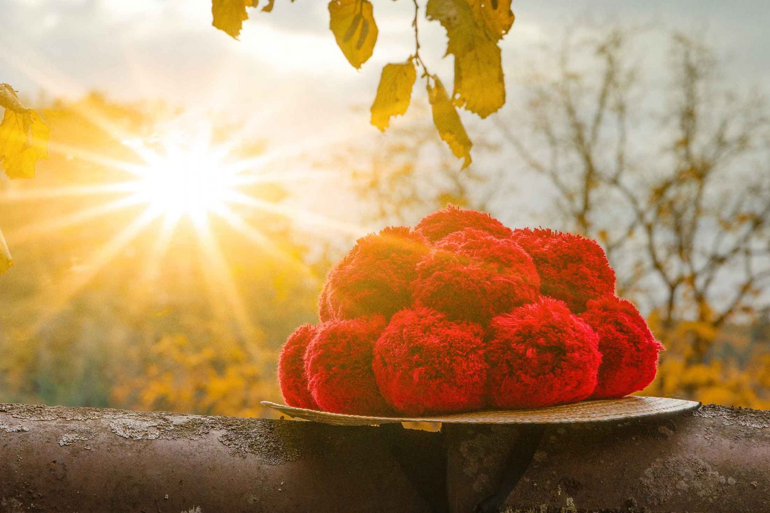 Rubrik_Zimmer_Bollenhut2_RGB