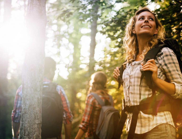 Gruppenwandern in Schwarzwald-Natur